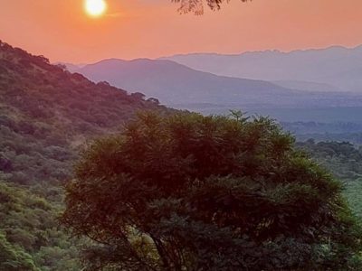 860887.jpg.870x511_q85_crop_upscale