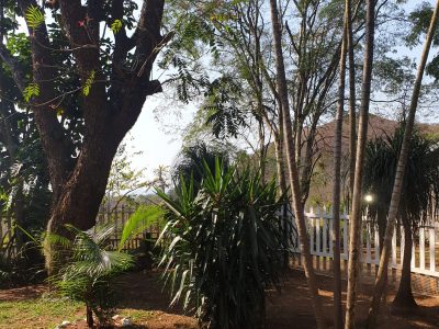 WhatsApp Image 2024-07-30 at 14.04.40